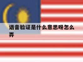 语音验证是什么意思呀怎么弄