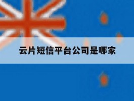 云片短信平台公司是哪家