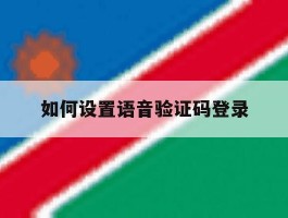 如何设置语音验证码登录