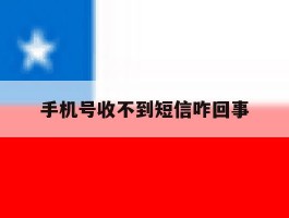手机号收不到短信咋回事